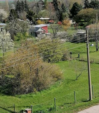 Foto - Kleingarten, Pachtgarten, Garten für Freizeit und Erholung
