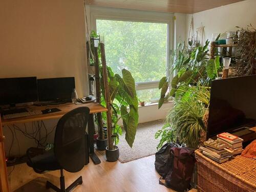 Foto - Etagenwohnung in Köln zur Miete