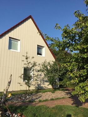 Foto - andere zur Miete in Sellin