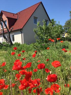 Foto - andere in Sellin zur Miete