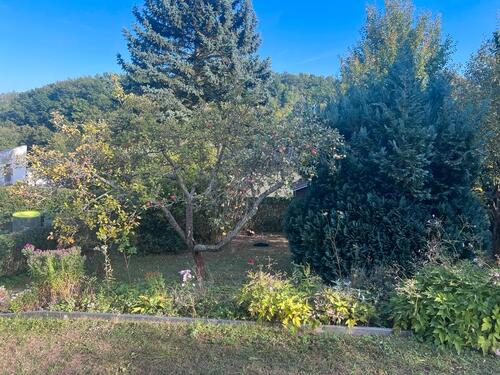 Foto - Grundstück zur Miete in Saalfeld (Saale)