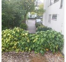 Helle Mietwohnung im Kurviertel, Erdgeschoß - Bretzenheim