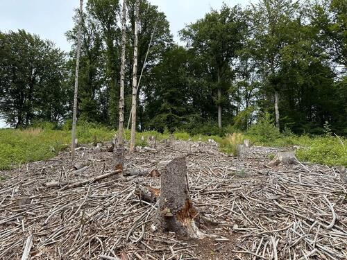Foto - Grundstück zur Miete in Odenthal