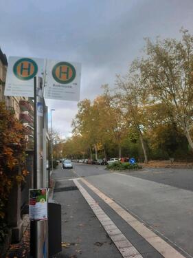 Foto - andere in Würzburg