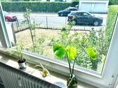 Foto - 3-Zi.-Gartenwohnung: Renoviert, teilmöbliert, EBK, Balkon, Stpl.