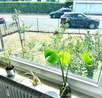 3-Zi.-Gartenwohnung: Renoviert, teilmöbliert, EBK, Balkon, Stpl. - Nürnberg Erlenstegen