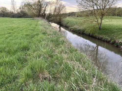 Foto - Grundst&uuml;ck zur Miete in Mainz
