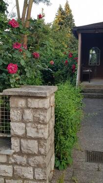 Foto - 4.5 Zimmer Einfamilienhaus zur Miete in Michelau in Oberfranken