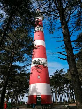 Foto - AMELAND FEWO 5 Personen mit Hund Termine frei