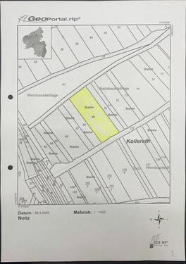 Foto - Landwirtschaftliche Fläche (Brachland), Steillage