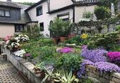 Foto - Hübsches Einfamilienhaus mit Felsenkeller