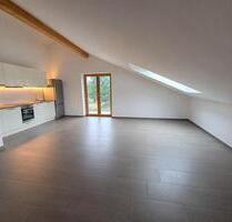 Wohnung Penthouse-Stil im Dachgeschoss zu vermieten - Großkarolinenfeld