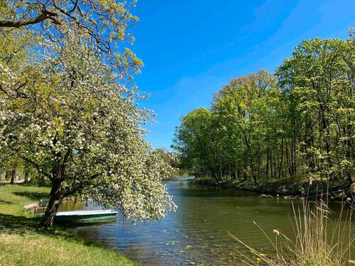 Foto - 3 Zimmer Einfamilienhaus zum Kaufen in Wusterwitz