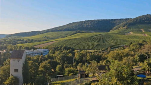 Foto - Etagenwohnung zur Miete in Sachsenheim