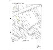 Rebfläche (brachliegend) - 951,00&nbsp;EUR Kaltmiete, ca.&nbsp; 0,00&nbsp;m&sup2; in Senheim (PLZ: 56820)