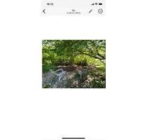 Ehemaliges großzügiges Bauernhaus mit Pferdestall und Bachlauf - Mandelbachtal