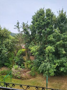 Foto - 3 Raum-Wohnung frisch renoviert und bezugsfertig, mit Balkon