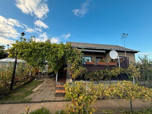 Foto - Pachtgarten im Kleingartenverein abzugeben