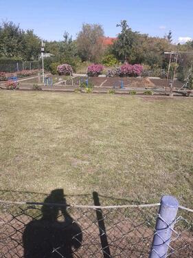 Foto - Grundst&uuml;ck in Halle (Saale)