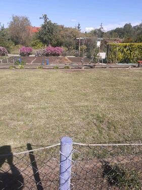 Foto - Grundst&uuml;ck in Halle (Saale) zur Miete