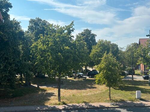 Foto - Viel Platz im Kern von Wendschott.
