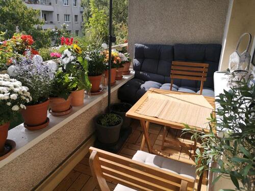 Foto - Untermiete befristet, 58m², Sülz, 2 Zi.,Balkon, möbliert, 1.411€