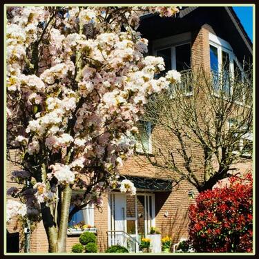 Foto - andere in Raesfeld