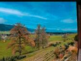 Foto - Lindau-Sigmarszell, Reihen-End-Haus, 2 Wohnungen, Panorama