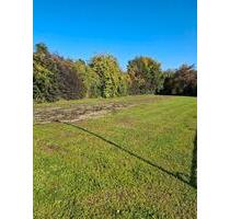 Befestigter Abstellplatz - 30,00 EUR Miete, in Fronreute (PLZ: 88273)