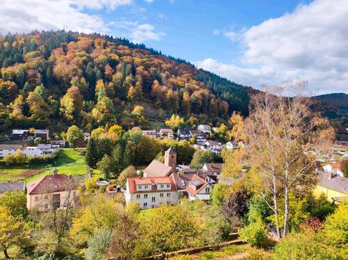 Foto - 2-Zimmer-Dachgeschosswohnung 69250 Schönau ab 01.02.26 frei