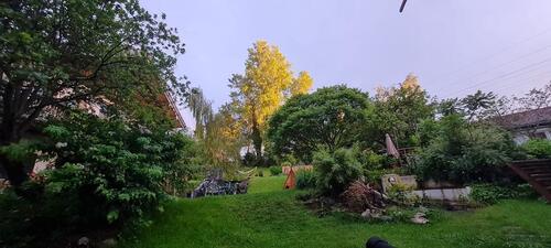 Foto - 3 Zimmer Wohnung mit großem Garten auf Mehrgenerationen Hof