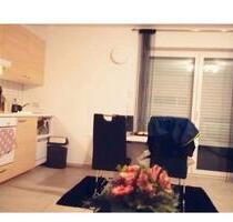 Appartement 39,45 m2 ab 1.6. zu vermieten Nähe Westpark - Ingolstadt