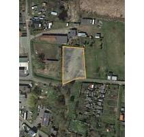 2 Monate gratis Grundstück in Demmin, Garten, Wiese