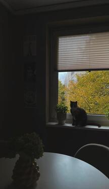 Foto - andere in Hamburg zur Miete