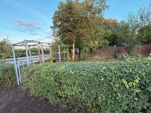Foto - Schrebergarten - 1.000,00 EUR Kaltmiete, ca.  0,00 m²