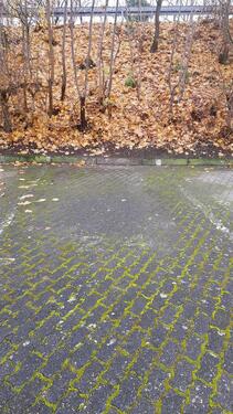 Foto - Parkplätz in Hockenheim zu vermieten