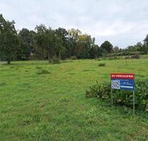 1,5 ha Unbebautes Grundstück Nähe Ostsee - Gadebusch