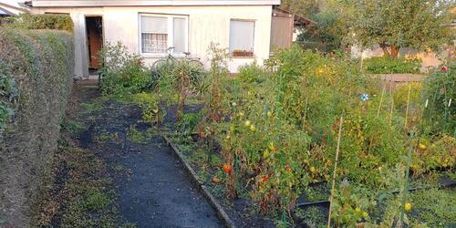 Foto - GARTEN in Senftenberg - 1.300,00 EUR Kaltmiete, ca.  0,00 m²
