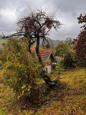 Foto - Grundstück in Stuttgart