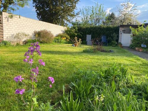 Foto - 2 Zimmer Terrassenwohnung zur Miete in Köln