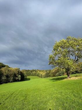 Foto - Etagenwohnung zur Miete in Koblenz