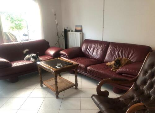 Foto - 5 Zimmer Einfamilienhaus in Blankenfelde-Mahlow