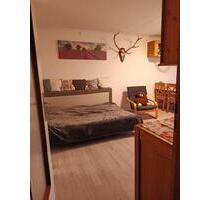 2-zimmer-Wohnung, 45qm, voll möbliert, frei ab Ende Mai - Harz (LK Goslar) Bergstadt Altenau-Schulenberg i.O.