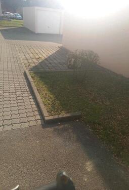 Foto - andere zur Miete in Augsburg