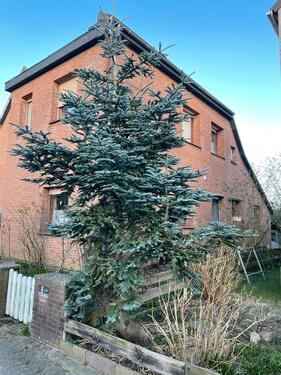 Foto - Einfamilienhaus zum Kaufen in Lemwerder