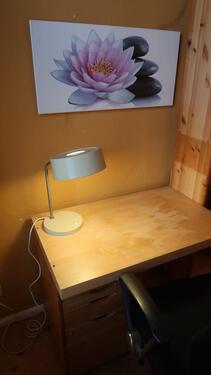 Foto - 1 Zimmer Etagenwohnung zur Miete in Leipzig