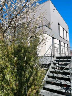 Foto - 4.5 Zimmer Einfamilienhaus zum Kaufen in Bammental