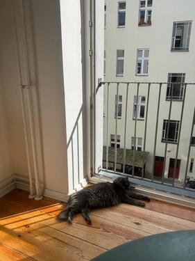 Foto - Etagenwohnung in Berlin zur Miete