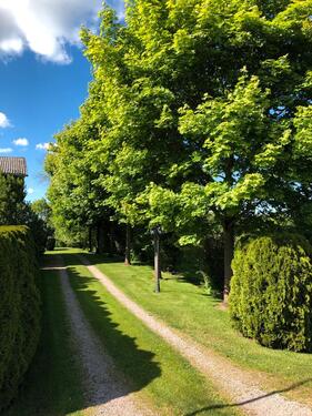 Foto - 5 Zimmer Einfamilienhaus in Klein Offenseth-Sparrieshoop
