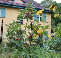Wohnung, Apartment, möbliert zu vermieten, 30 qm nähe Stechlinsee - Löwenberger Land